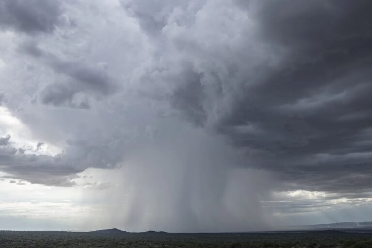 La semaine de Noël met en lumière un temps et une chaleur instables