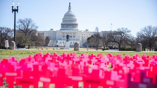 Des militants pro-vie visitent des millions de foyers avant les élections américaines
