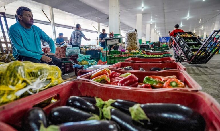 Campanha #FazAXepa combate desperdício de alimentos no Brasil